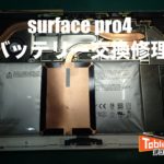 pro4 バッテリー